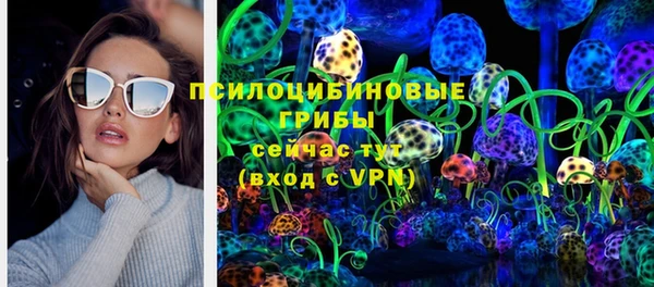 прущие грибы Осинники