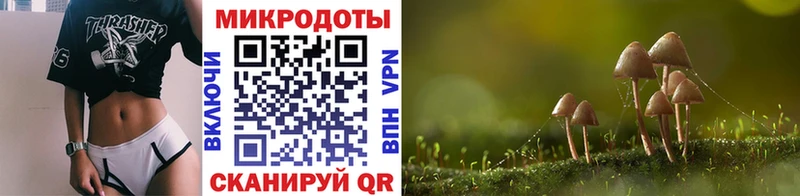 Псилоцибиновые грибы Cubensis  Сокол 